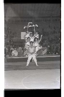 登錄號:KH2002.017.0132藏品圖，第53張