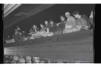 登錄號:KH2002.017.0135藏品圖，第7張