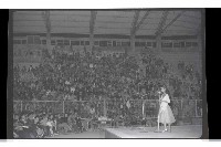 登錄號:KH2002.017.0136藏品圖，第4張