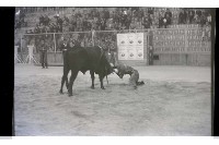 登錄號:KH2002.017.0141藏品圖，第2張