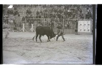 登錄號:KH2002.017.0141藏品圖，第3張