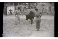 登錄號:KH2002.017.0141藏品圖，第4張