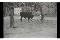 登錄號:KH2002.017.0141藏品圖，第5張