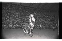 登錄號:KH2002.017.0149藏品圖，第32張