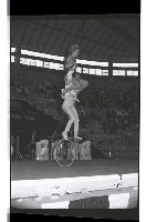 登錄號:KH2002.017.0157藏品圖，第14張