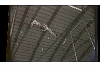 登錄號:KH2002.017.0157藏品圖，第43張