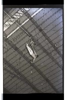 登錄號:KH2002.017.0157藏品圖，第46張