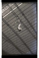 登錄號:KH2002.017.0157藏品圖，第47張