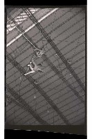 登錄號:KH2002.017.0157藏品圖，第50張