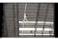 登錄號:KH2002.017.0157藏品圖，第60張