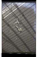 登錄號:KH2002.017.0157藏品圖，第63張