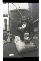 登錄號:KH2002.017.0161藏品圖，第1張