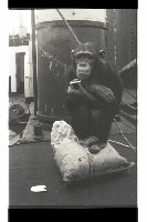 登錄號:KH2002.017.0161藏品圖，第2張