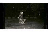 登錄號:KH2002.017.0161藏品圖，第28張