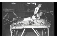 登錄號:KH2002.017.0161藏品圖，第45張