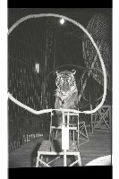 登錄號:KH2002.017.0161藏品圖，第46張