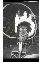 登錄號:KH2002.017.0161藏品圖，第47張