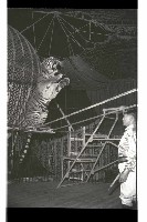 登錄號:KH2002.017.0161藏品圖，第48張