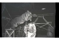 登錄號:KH2002.017.0161藏品圖，第49張