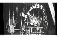 登錄號:KH2002.017.0161藏品圖，第52張