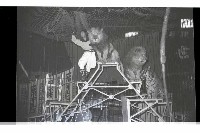 登錄號:KH2002.017.0161藏品圖，第54張