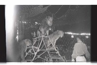 登錄號:KH2002.017.0161藏品圖，第56張