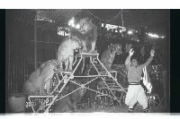 登錄號:KH2002.017.0161藏品圖，第57張