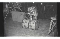 登錄號:KH2002.017.0161藏品圖，第60張