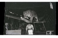 登錄號:KH2002.017.0161藏品圖，第61張