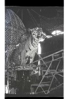 登錄號:KH2002.017.0161藏品圖，第63張