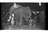 登錄號:KH2002.017.0161藏品圖，第73張