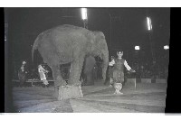 登錄號:KH2002.017.0161藏品圖，第74張