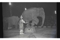 登錄號:KH2002.017.0161藏品圖，第75張