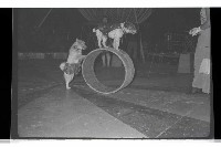 登錄號:KH2002.017.0161藏品圖，第80張