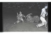 登錄號:KH2002.017.0170藏品圖，第38張