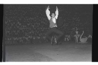 登錄號:KH2002.017.0177藏品圖，第19張