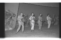 登錄號:KH2002.017.0177藏品圖，第24張