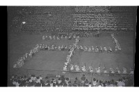 登錄號:KH2002.017.0179藏品圖，第9張