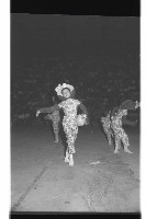 登錄號:KH2002.017.0183藏品圖，第29張