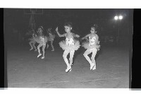 登錄號:KH2002.017.0183藏品圖，第40張