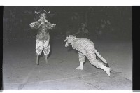 登錄號:KH2002.017.0183藏品圖，第53張