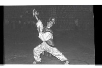 登錄號:KH2002.017.0189藏品圖，第32張