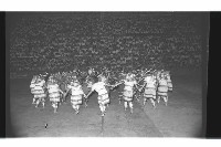 登錄號:KH2002.017.0189藏品圖，第51張