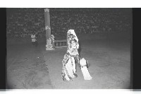 登錄號:KH2002.017.0189藏品圖，第74張