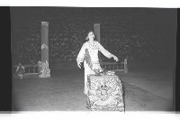 登錄號:KH2002.017.0189藏品圖，第87張