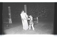 登錄號:KH2002.017.0189藏品圖，第89張