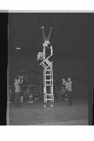 登錄號:KH2002.017.0195藏品圖，第16張