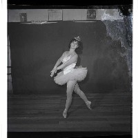 登錄號:KH2002.017.0209藏品圖，第2張