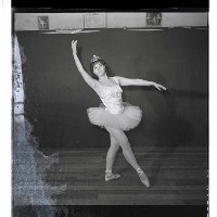 登錄號:KH2002.017.0209藏品圖，第4張