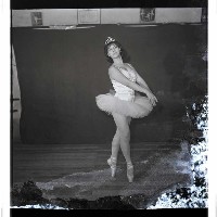 登錄號:KH2002.017.0209藏品圖，第13張